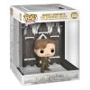Discount 🛒 Funko Hogsmeade - Shrieking Shack W/Lupin Harry Potter - Chamber Of Secrets Anniversary POP! Deluxe Vinyl Figure 9cm - 156 ⌛